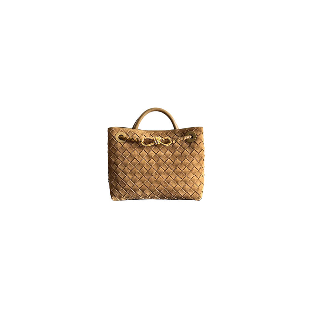 Bottega Veneta Small Andiamo