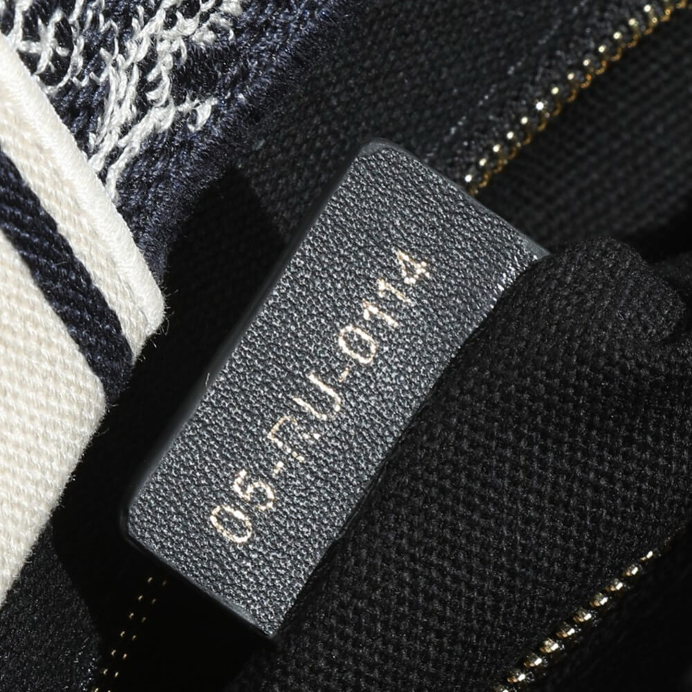 Small Dior Book Tote