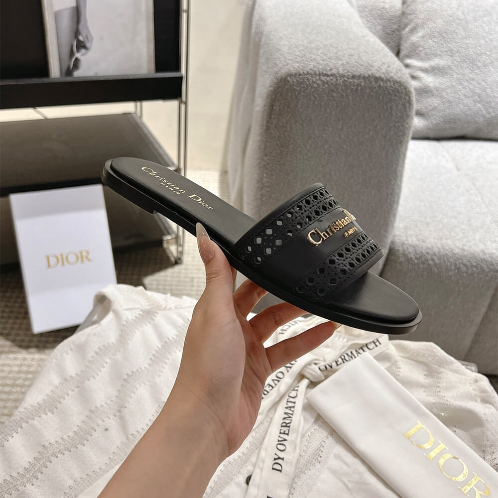 DIOR D-Lane Slide