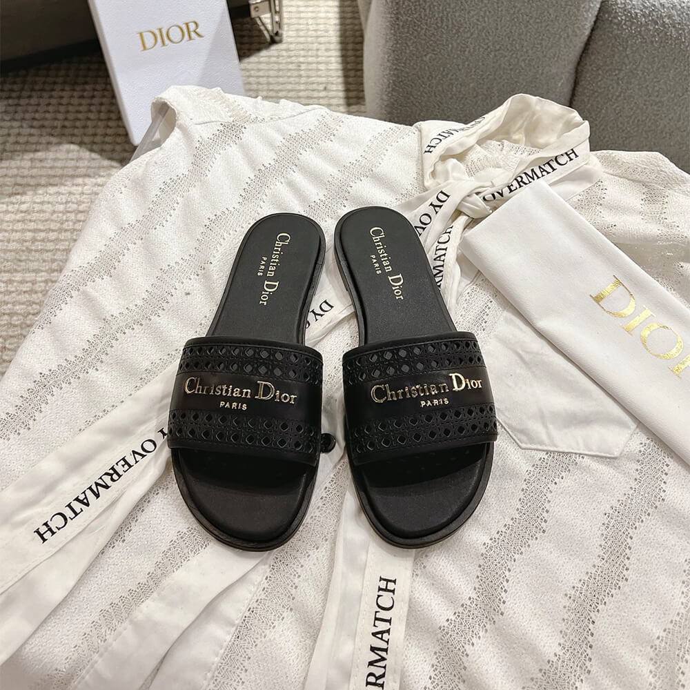 DIOR D-Lane Slide