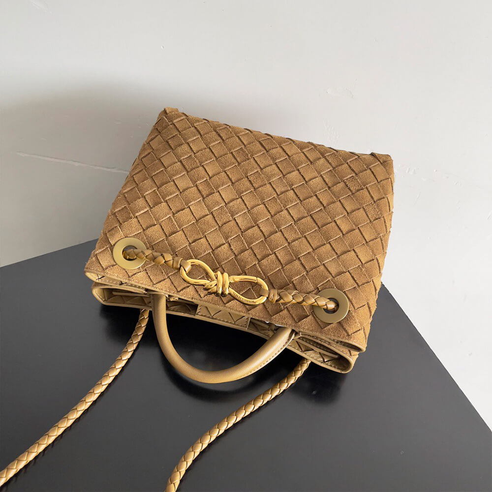 Bottega Veneta Small Andiamo