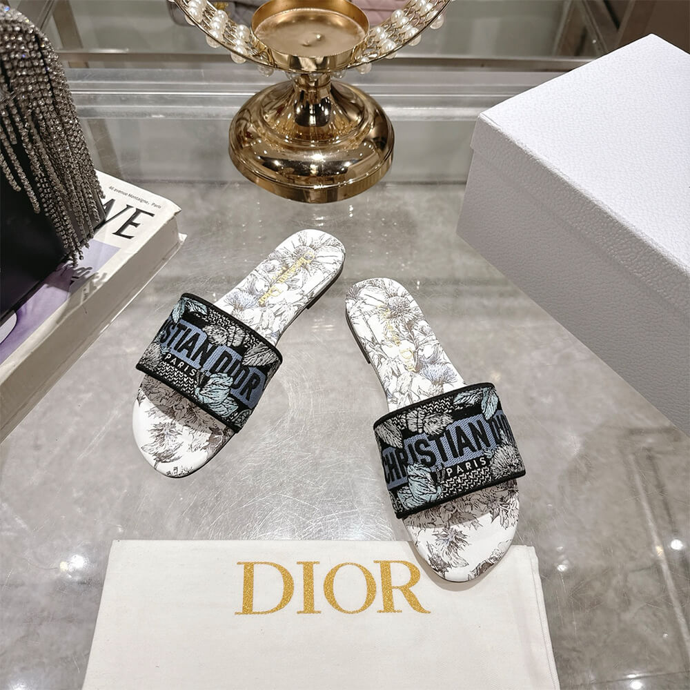 DIOR Dway Slide