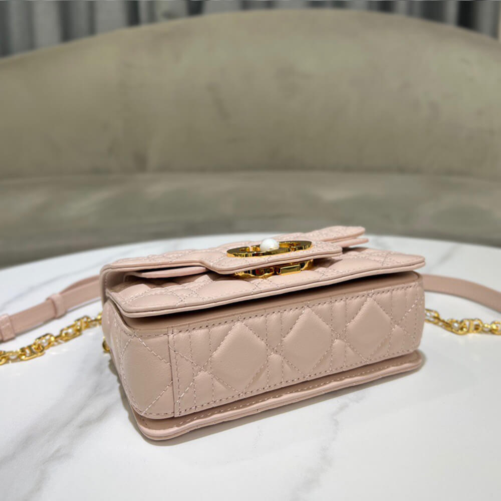 DIOR Mini Dior Jolie Top Handle Bag