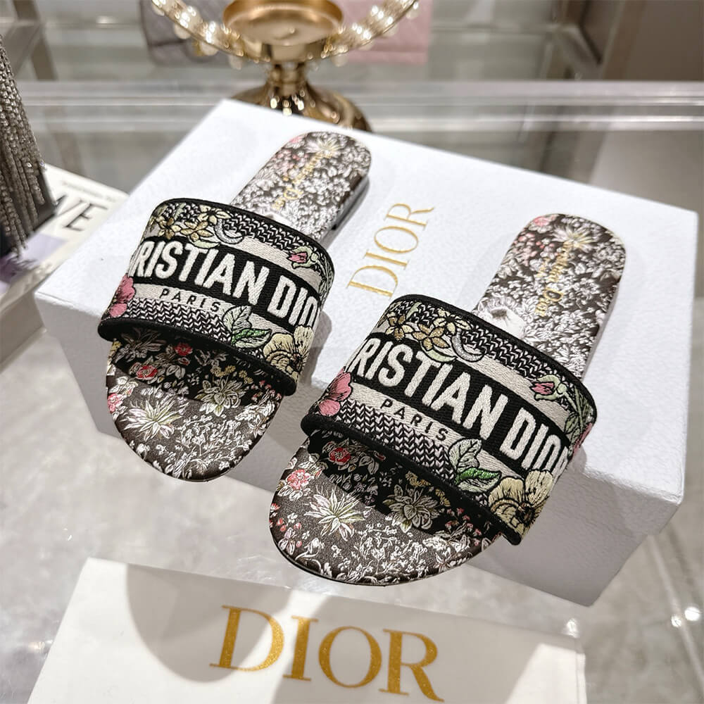 DIOR Dway Slide