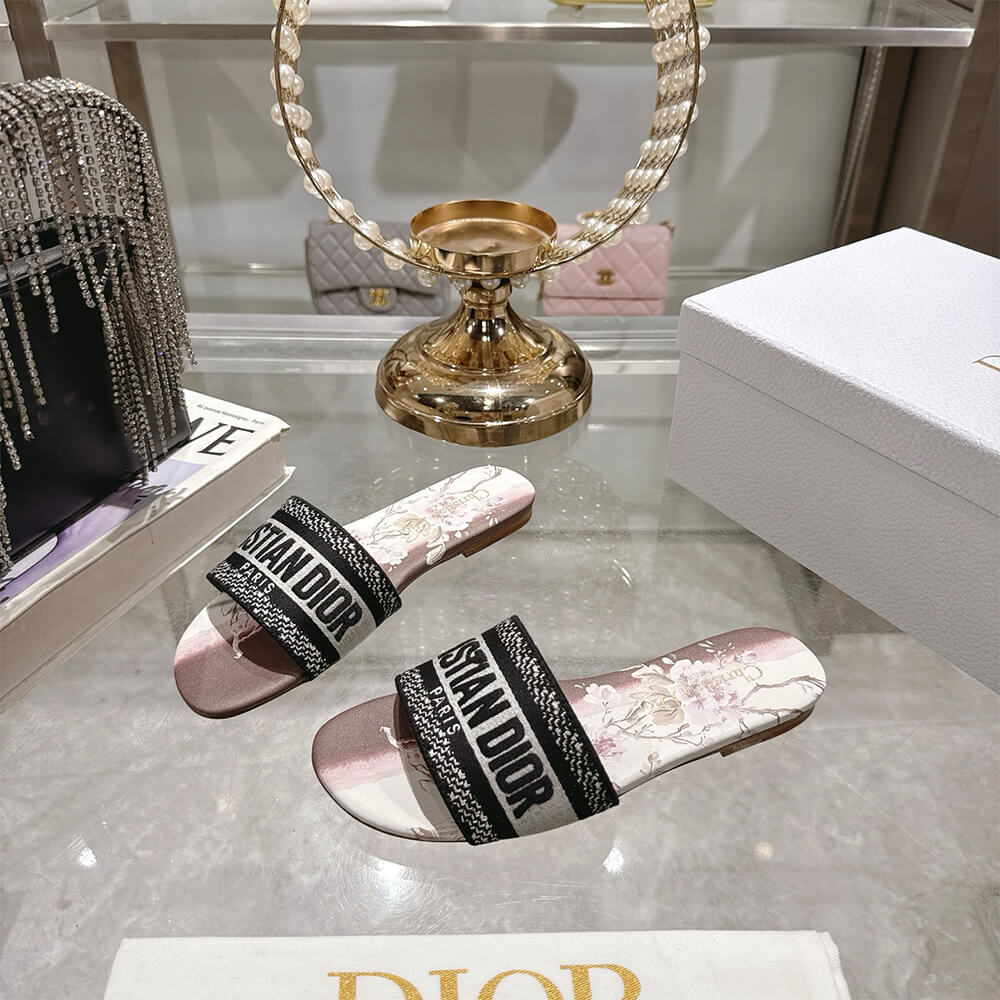 DIOR Dway Slide