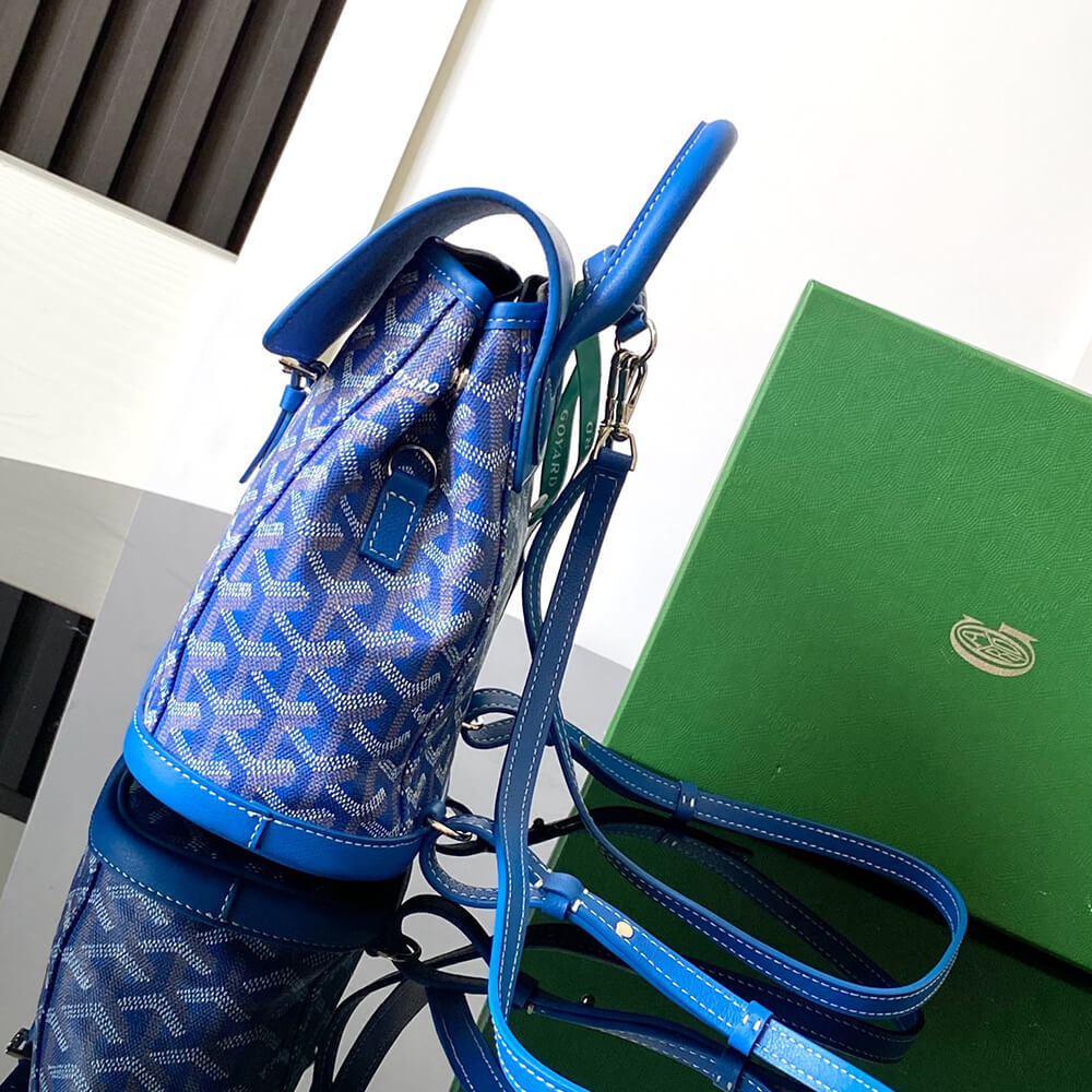 Goyard Alpin Mini Backpack